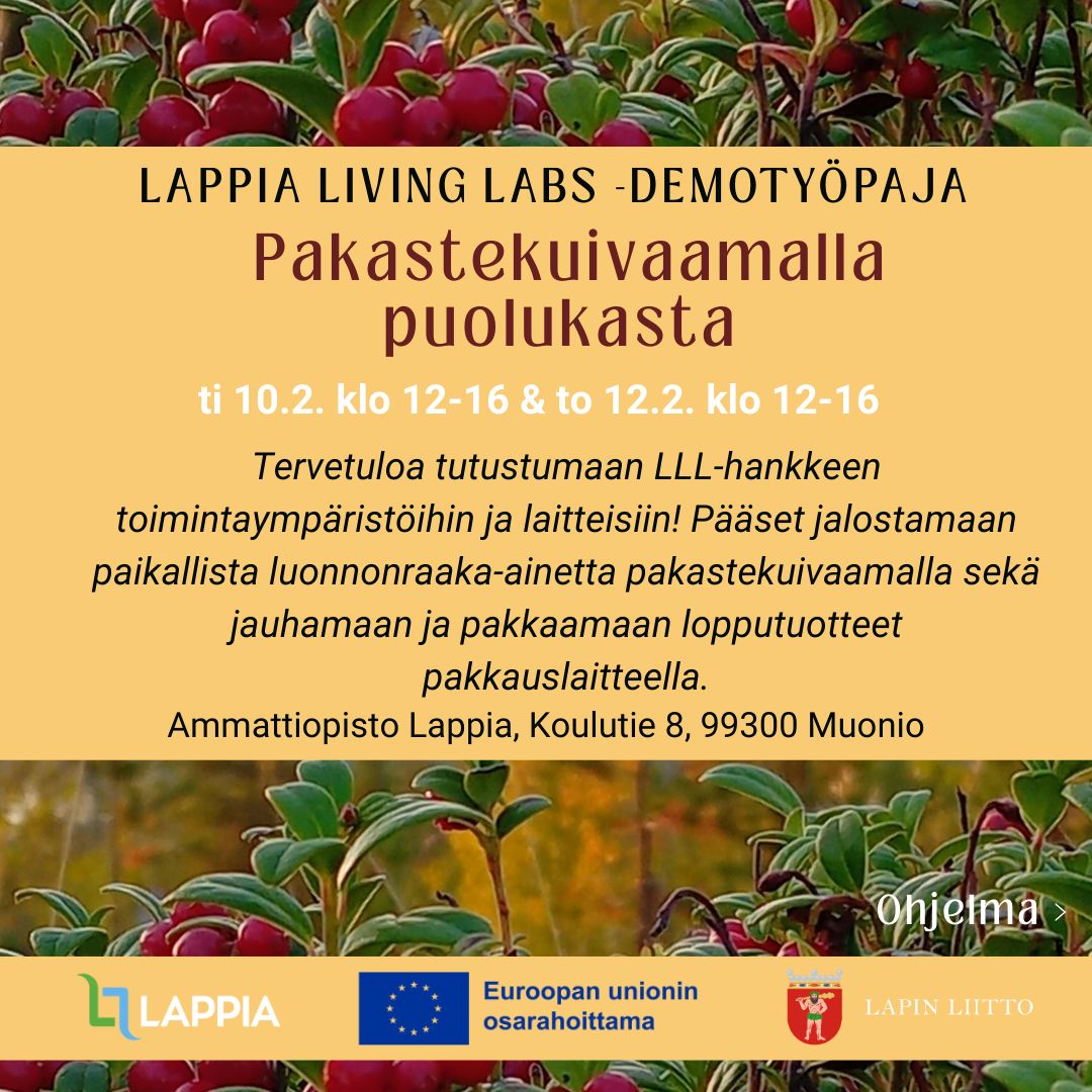 Lappia Living Labs -demotyöpaja Muoniossa