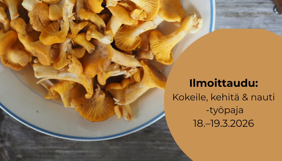 Kokeile, kehitä nauti -työpaja