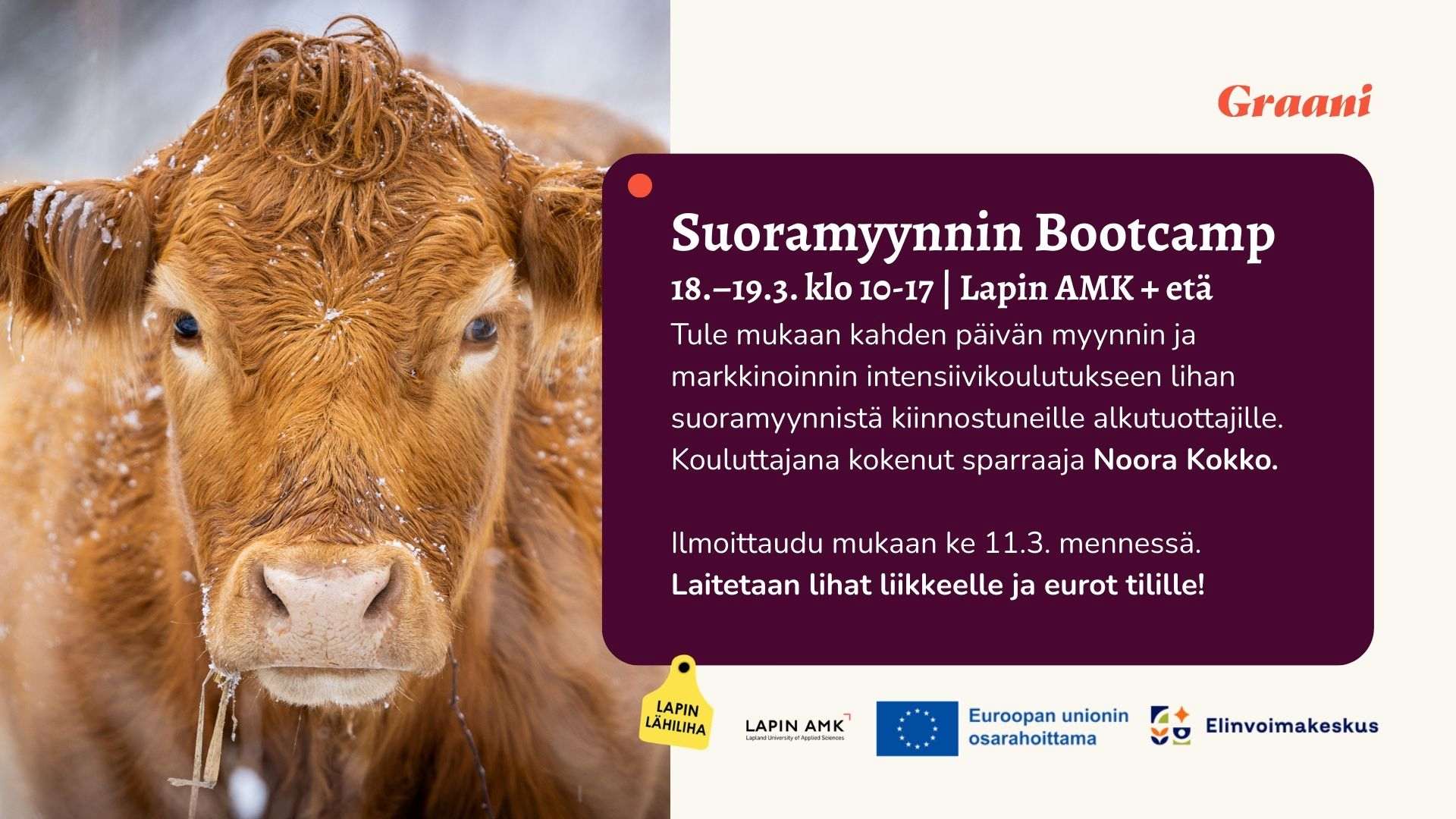 Suoramyynnin Bootcamp Rovaniemellä ja etänä